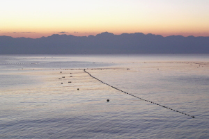 �X�� ���u�� ��u�ԋ�