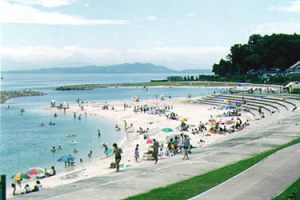 �����C������