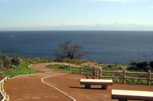 �X���E��a�l�V����